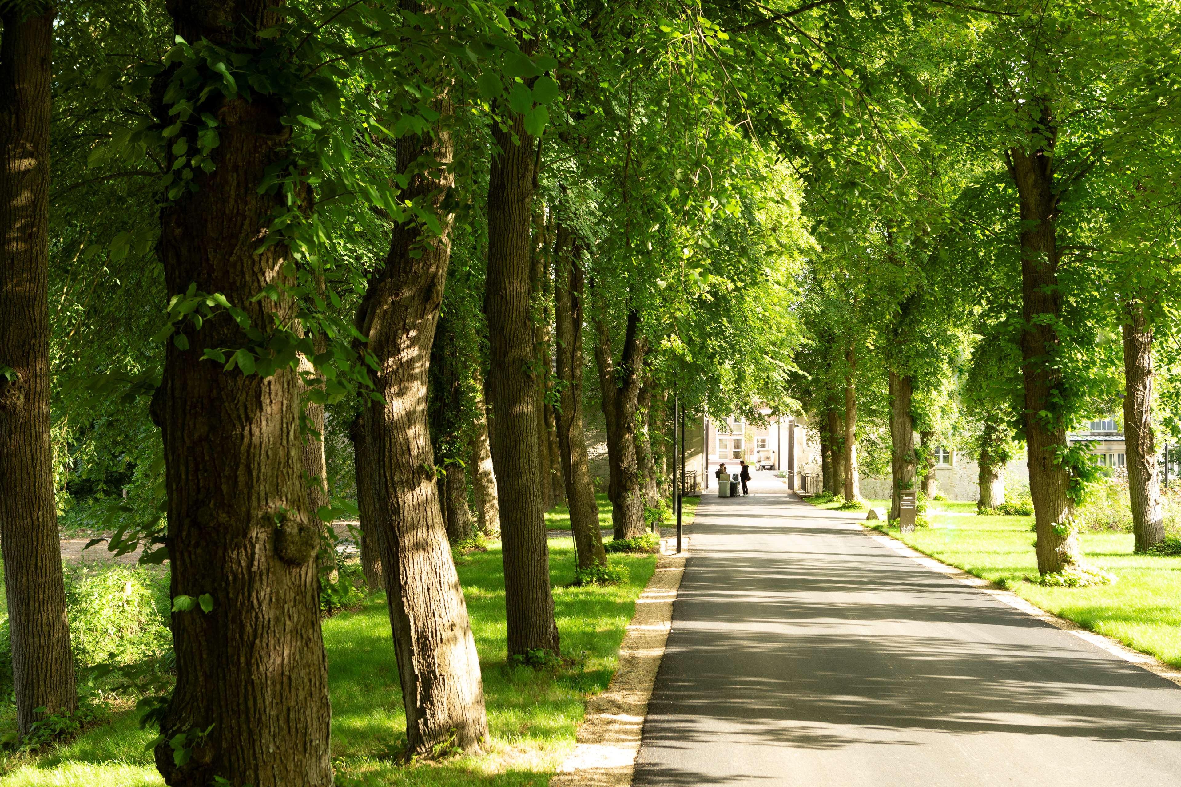 Hyatt Regency Chantilly Vineuil-Saint-Firmin Eksteriør billede