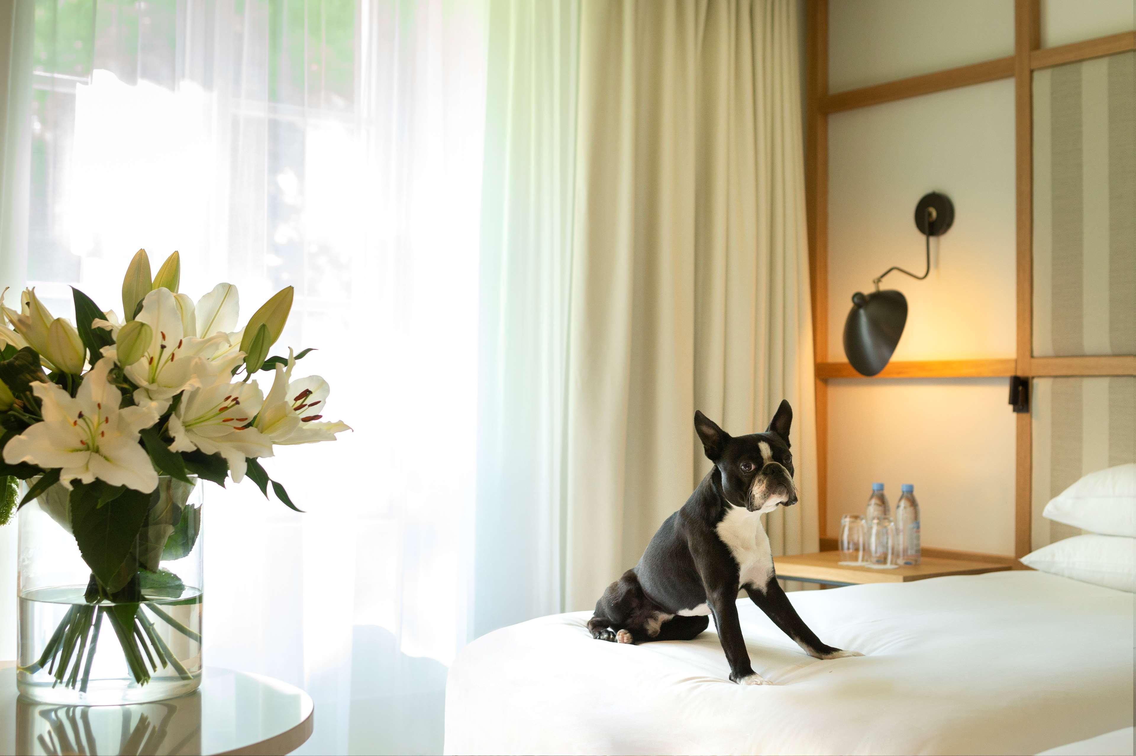 Hyatt Regency Chantilly Vineuil-Saint-Firmin Eksteriør billede